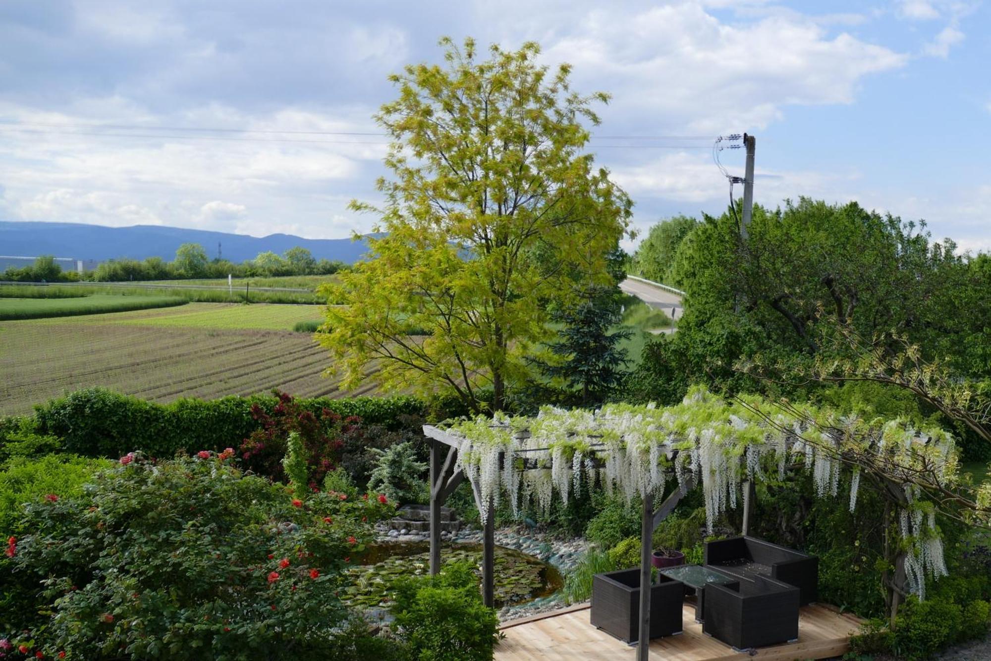 Au Relais De L'Ill Otel Sermersheim Dış mekan fotoğraf